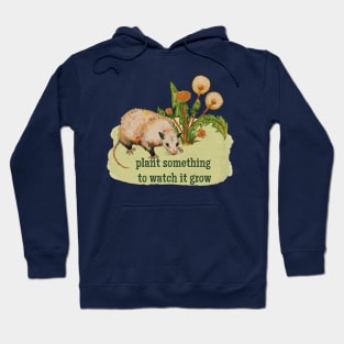 plant something to watch something grow Hoodie